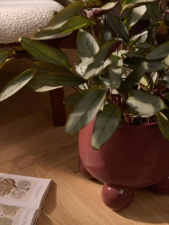 Maceteros|Jarrones></noscript>Westwing Collection Macetero grande de dolomita Olea, 32 cm Rojo óxido brillante