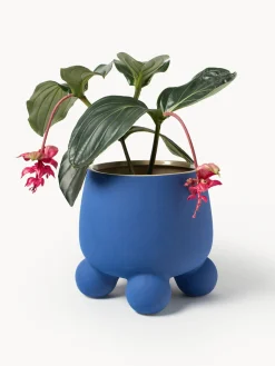 Maceteros|Jarrones><noscript><img width=