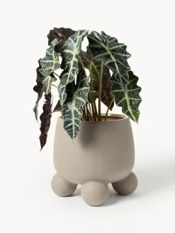 Maceteros|Jarrones></noscript>Westwing Collection Macetero grande Olea, 32 cm Greige mate