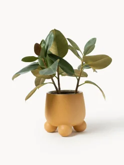 Maceteros|Jarrones></noscript>Westwing Collection Macetero Olea, 26 cm Mostaza mate