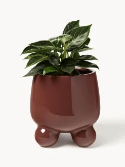 Clearance Macetero Olea, 26 cm Maceteros|Maceteros De Exterior