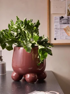 Clearance Macetero Olea, 26 cm Maceteros|Maceteros De Exterior