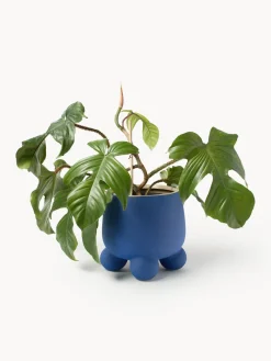 Maceteros|Jarrones><noscript><img width=