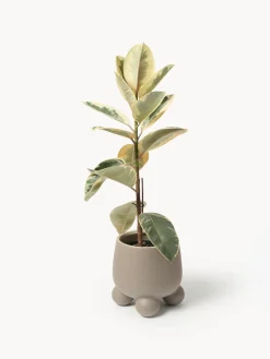 Discount Macetero Olea, 26 cm Maceteros|Jarrones