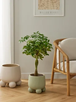 Maceteros|Jarrones>Westwing Collection Macetero Olea, Al 26 cm Verde salvia mate