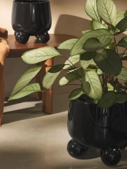 Maceteros|Maceteros De Exterior>Westwing Collection Macetero Olea, Al 26 cm Negro brillante