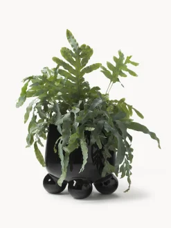 Maceteros|Maceteros De Exterior><noscript><img width=