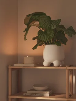 Maceteros|Jarrones>Westwing Collection Macetero Olea, Al 26 cm Blanco Off White mate