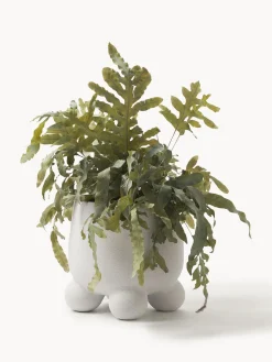 Maceteros|Jarrones><noscript><img width=