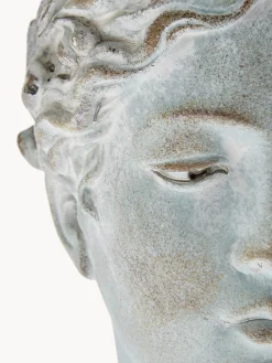 Maceteros|Jarrones></noscript>HD Collection Macetero Pass