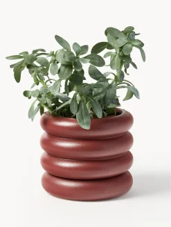 Maceteros|Jarrones></noscript>Westwing Collection Macetero pequeño de gres Rudi, 16 x 8 cm Rojo óxido