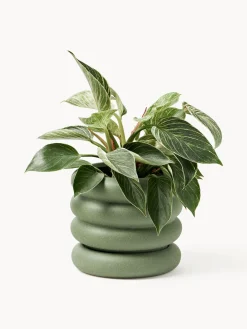 Macetero pequeño de gres Rudi, 16 x 5 cm Maceteros|Jarrones