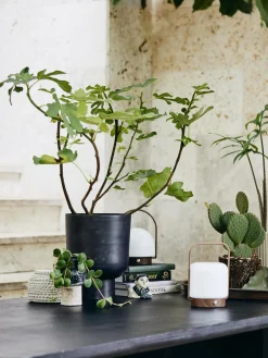 Maceteros|Maceteros De Exterior>Nordal Macetero pequeño Galoa, 30 cm