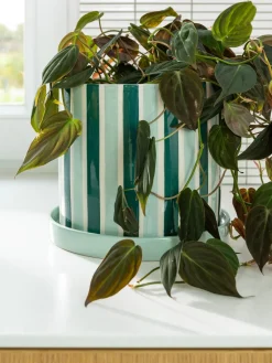 Maceteros|Jarrones>&k Amsterdam Macetero pintado a mano Clash