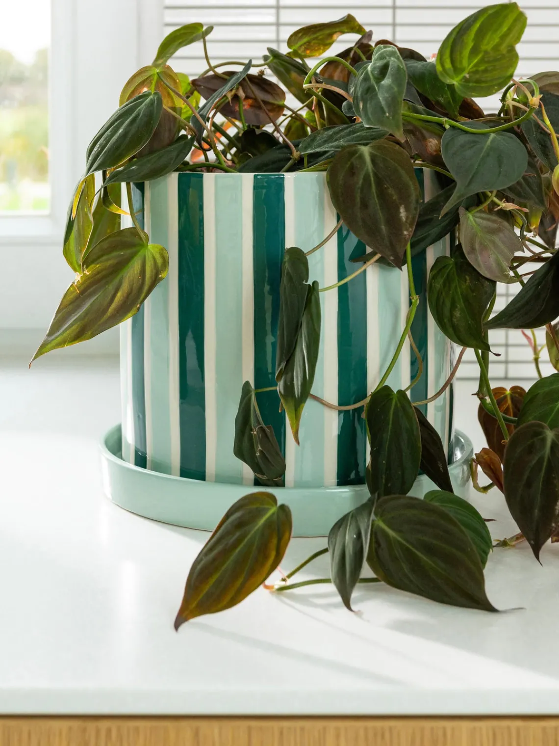 Maceteros|Jarrones>&k Amsterdam Macetero pintado a mano Clash