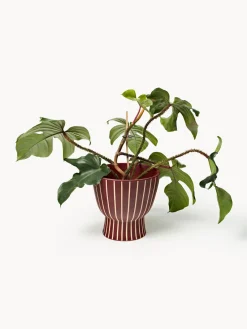 Maceteros|Jarrones><noscript><img width=