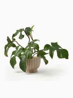 New Macetero pintado a mano Elio, 18 cm Maceteros|Jarrones