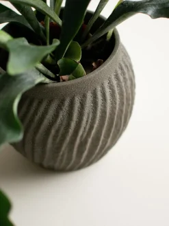 Outlet Macetero Raw, 19 cm Jarrones|Jarrones