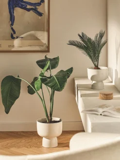 Maceteros Mayson, 2 uds. Maceteros|Jarrones