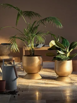 Hot Maceteros Renya, 2 uds. Maceteros|Jarrones