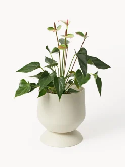 Sale Maceteros Renya, 2 uds. Maceteros|Jarrones