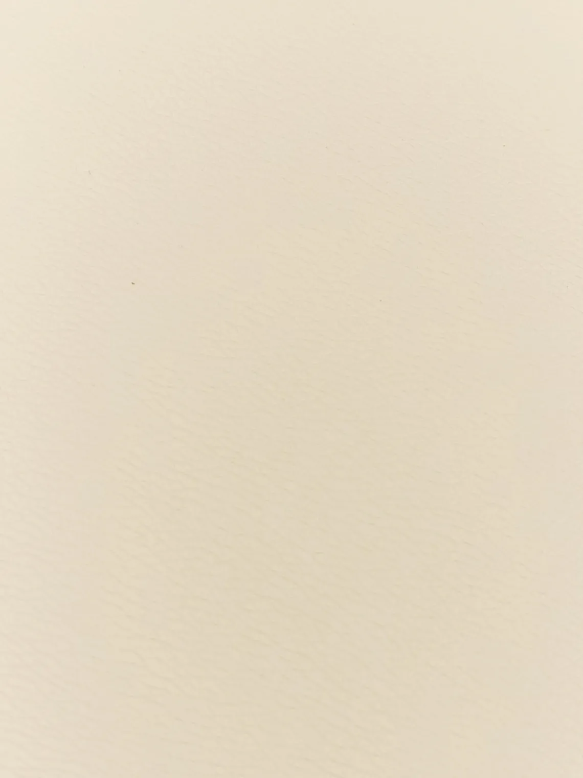 Manteles Individuales|Vajillas Completas>ASA Selection Manteles individuales de cuero sintético Pik, 2 uds. Beige claro