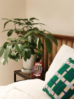 Outlet Marco pequeño Rift Marcos De Fotos|Jarrones