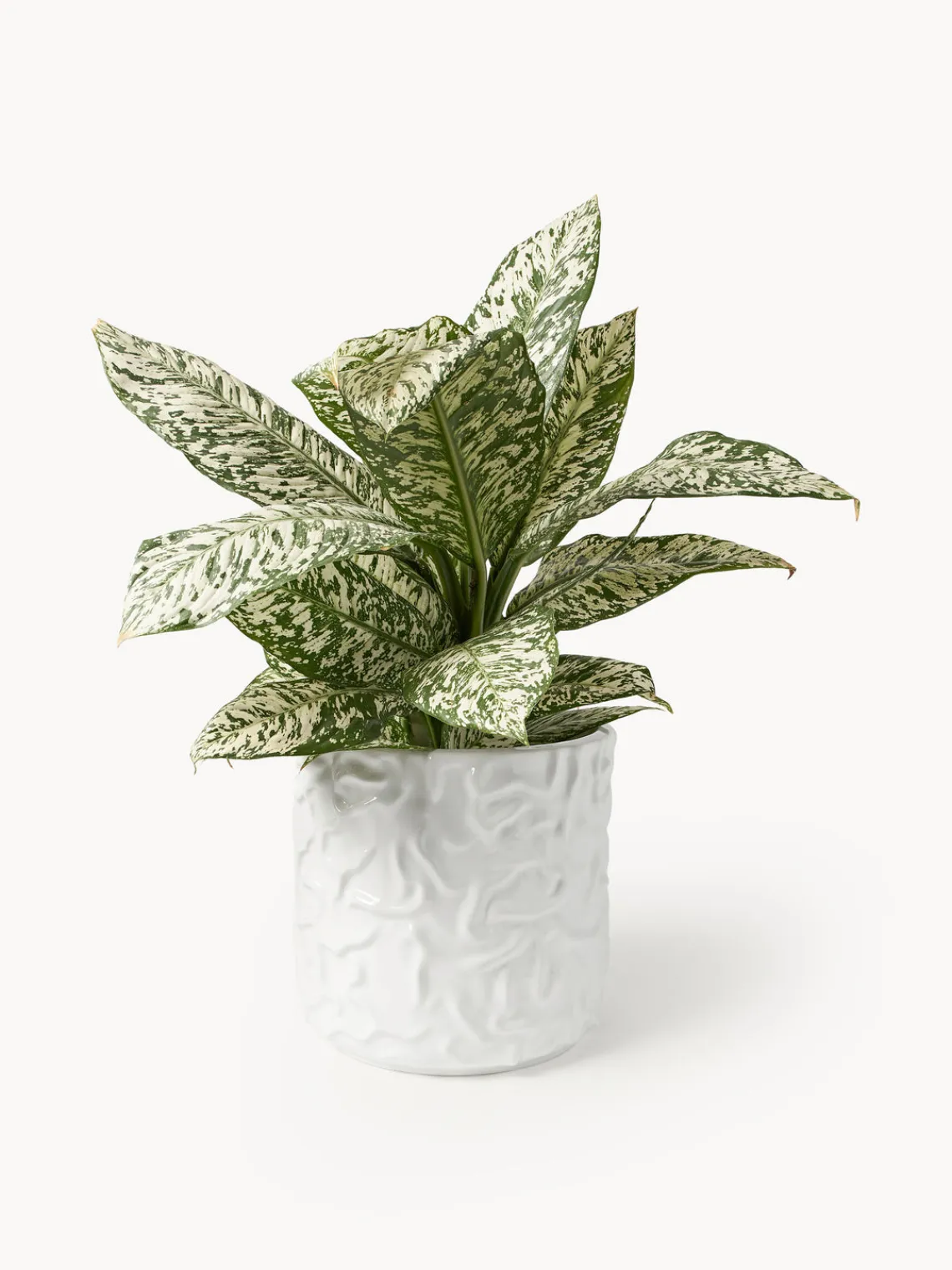 Maceteros|Jarrones>DBKD Olla grande Swoon - brillante Blanco