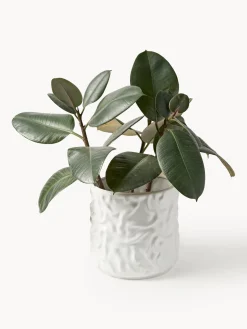 Online Olla mediana Swoon - brillante Maceteros|Jarrones