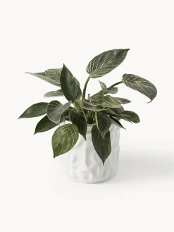 Maceteros|Jarrones><noscript><img width=