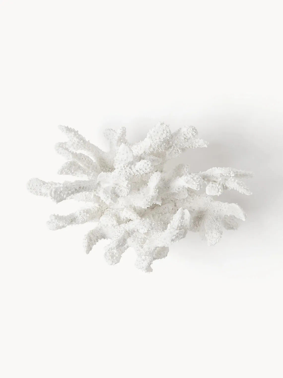 Jarrones|Figuras Decorativas>Westwing Collection Pieza decorativa de diseño Coral