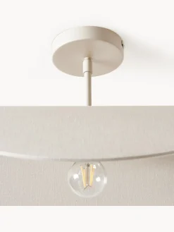 Plafones|Lámparas De Techo><noscript><img width=