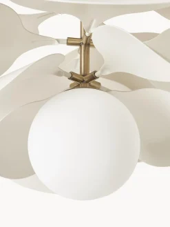 Sale Plafón de diseño Peony Plafones|Lámparas De Techo