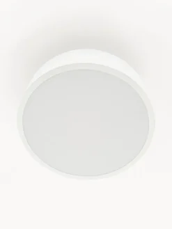 Discount Plafón de metal Ole Plafones|Lámparas De Techo