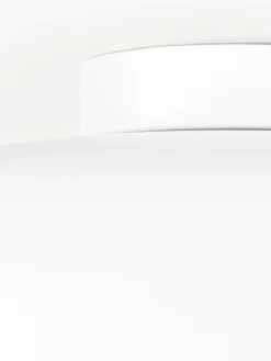 Discount Plafón de metal Ole Plafones|Lámparas De Techo