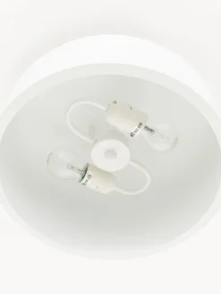 Discount Plafón de metal Ole Plafones|Lámparas De Techo