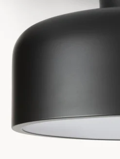 Hot Plafón de metal Ole Plafones|Lámparas De Techo