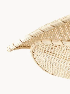 Plafones|Lámparas De Techo><noscript><img width=