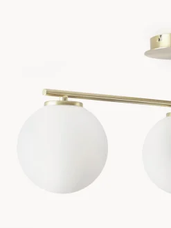 Plafones|Lámparas De Techo><noscript><img width=