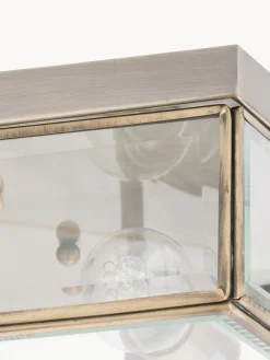 Plafones|Lámparas De Techo><noscript><img width=