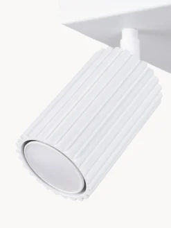 Plafones|Lámparas De Techo><noscript><img width=