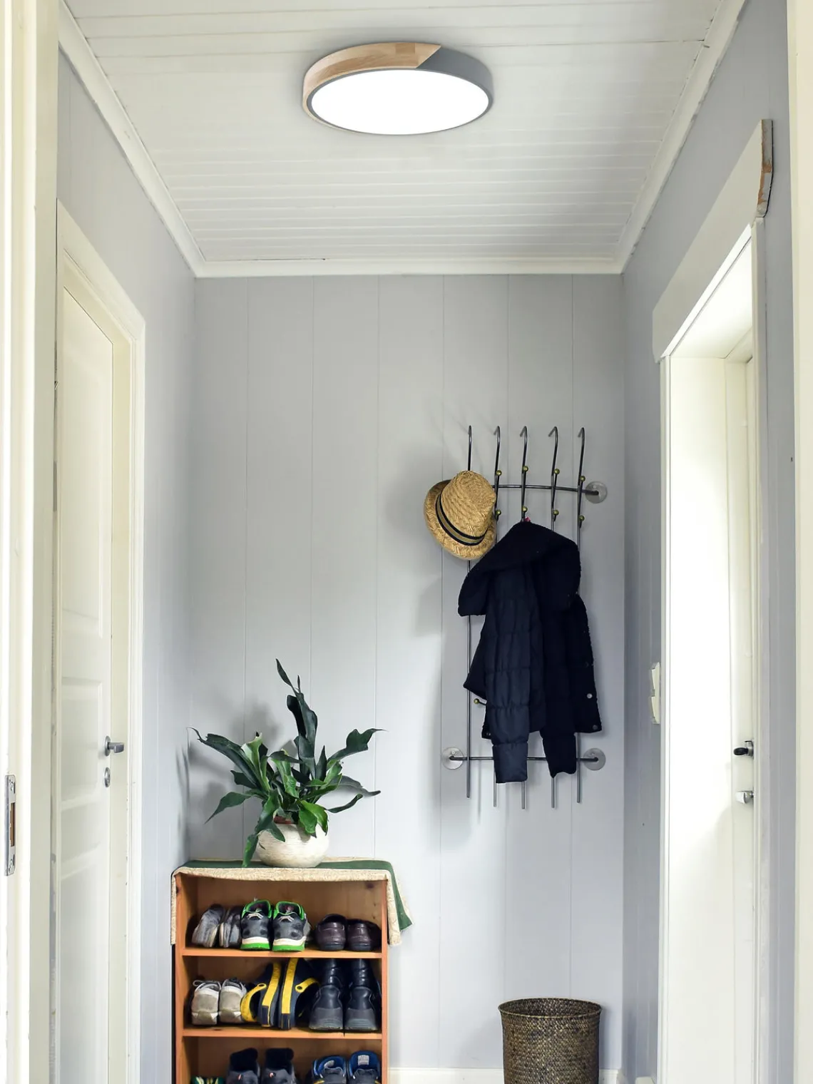 Sale Plafón pequeño LED Borneo Plafones|Lámparas De Techo