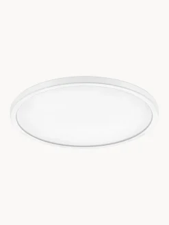 New Plafón pequeño LED regulable Oja Plafones|Lámparas De Techo