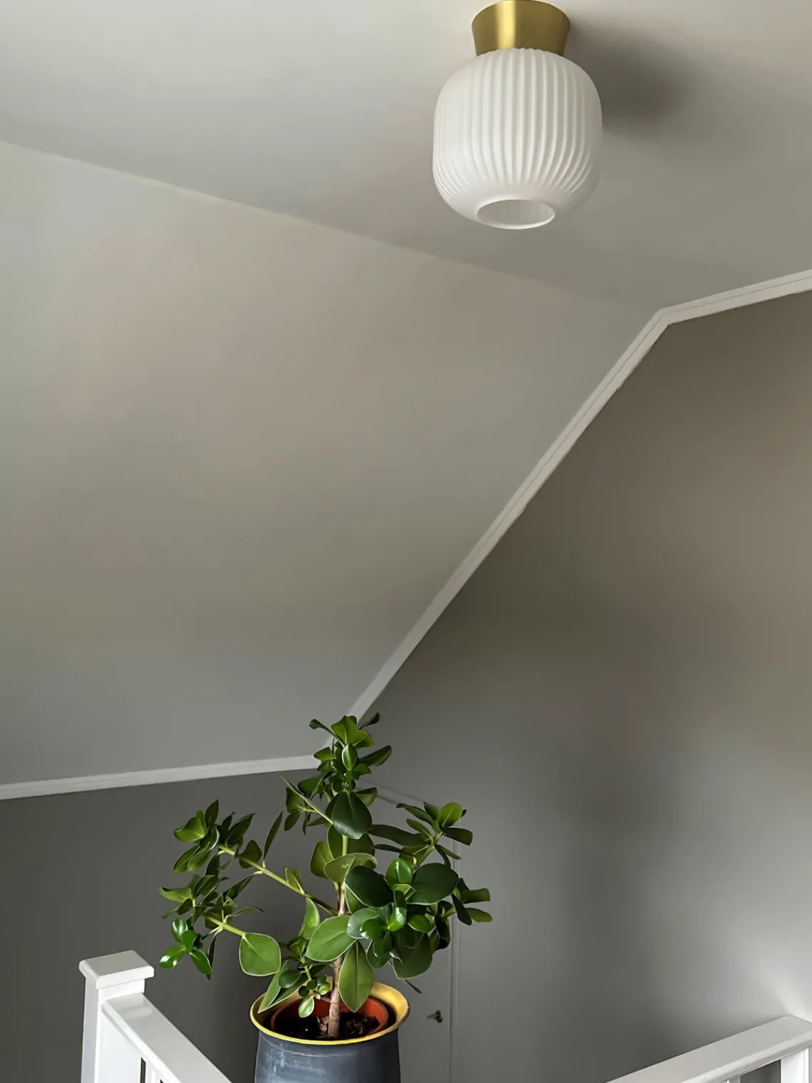 Plafones|Lámparas De Techo>Aneta Plafón pequeño Vanja Blanco opalino, latón