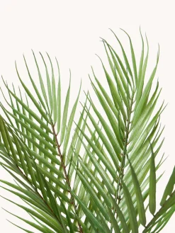 Jarrones|Flores Artificiales><noscript><img width=