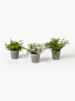 Best Plantas artificiales con macetas Timothy, 3 uds. Flores Artificiales|Jarrones