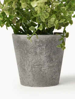 Best Plantas artificiales con macetas Timothy, 3 uds. Flores Artificiales|Jarrones