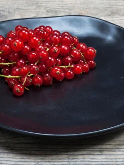 Discount Platos postre Organic, 4 uds. Platos De Postre|Vajillas Completas