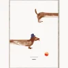 Pósters|Jarrones>MADO Póster Doug the Dachshund