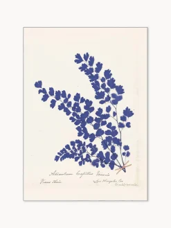 Pósters|Jarrones>POSTER & FRAME Póster enmarcado Botanical Fern III Blue